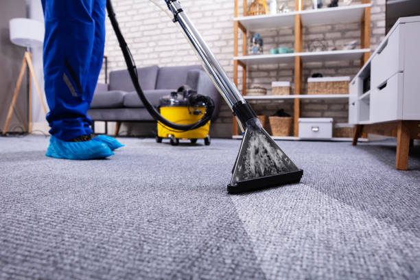 Cleaning Carpets